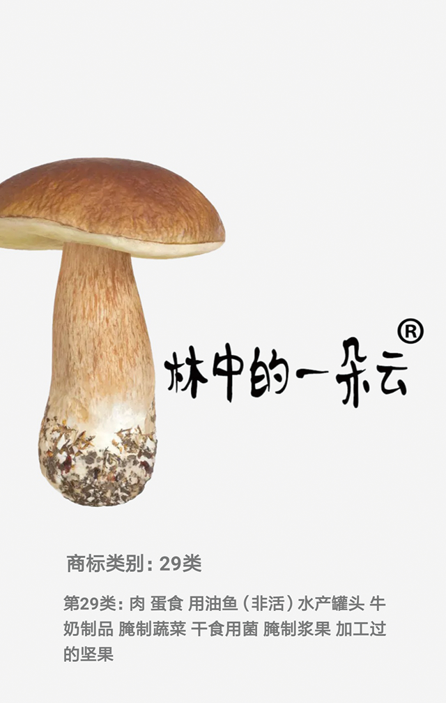 專業(yè)大米包裝品牌策劃設(shè)計(jì)，專業(yè)大米標(biāo)識(shí)設(shè)計(jì)，沈陽(yáng)奇思創(chuàng)意